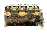 Chev 305 87-95 Engine Long Block 5.0L