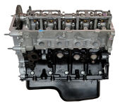 4.6L Ford Engine