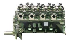 Ford 429 91-96 LPG Engine Long Block